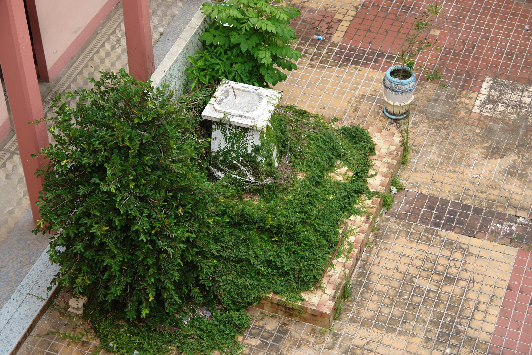Colegio La Milagrosa - San Juan (Río Piedras) - 2011 00116